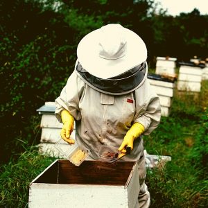 Design ohne Titel (1)